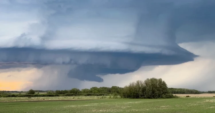 Cleanup begins after severe storms sweep through southwestern Ontario, raising tornado concerns