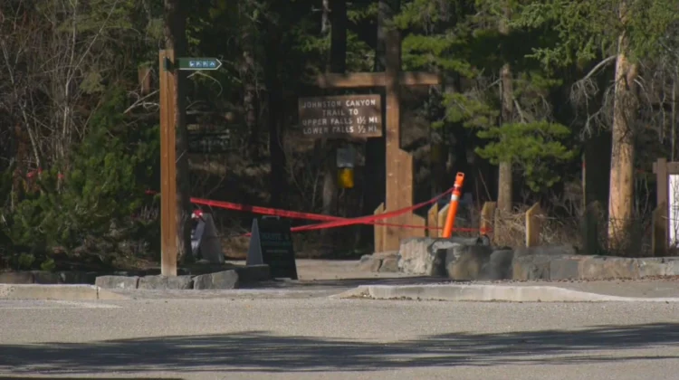 Search for American tourist’s body continues at Banff National Park waterfall, says RCMP