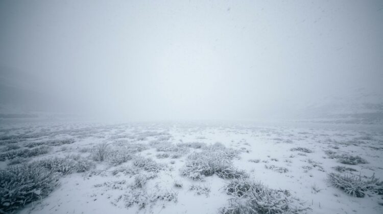 Winter Storm Warning Sierra Nevada: Powerful Snowstorm Set to Blanket Mountains, Trigger Travel Chaos and Avalanche